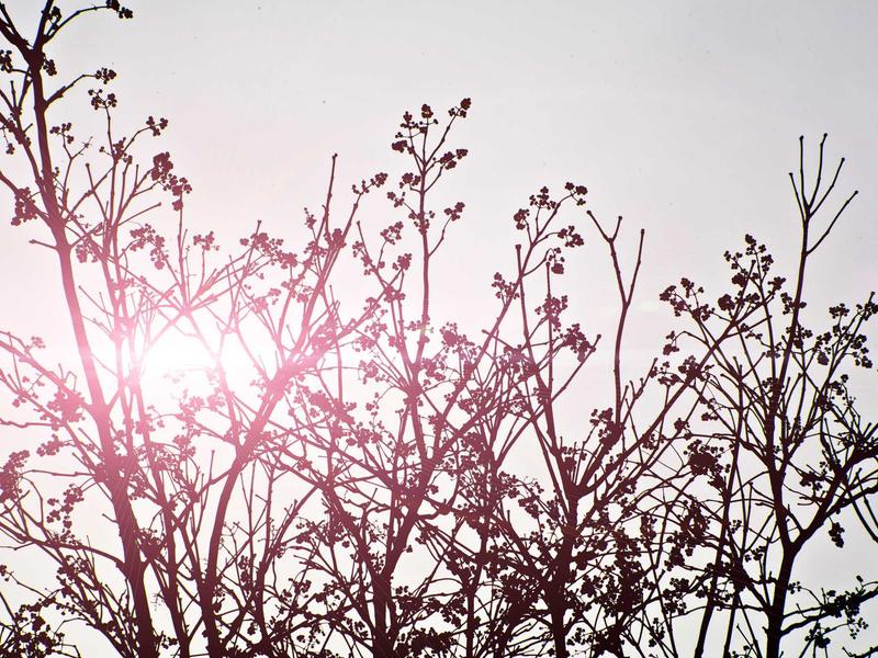 sudoku logic puzzle screenshot 2